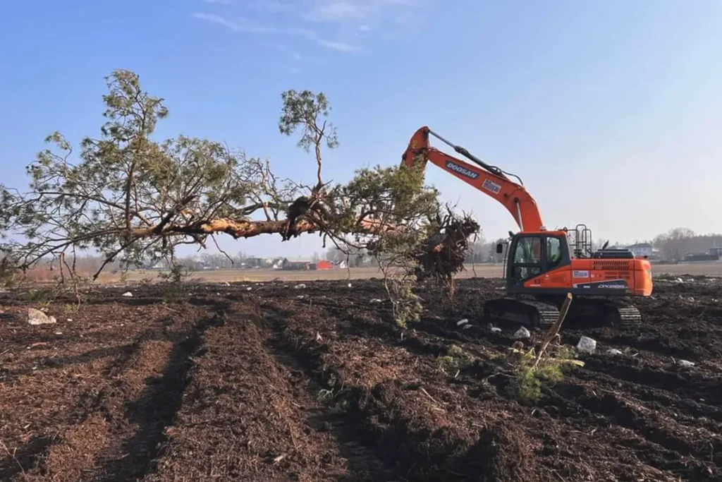 REB Anlegg bruker gravemaskin for å fjerne trær, røtter og stein fra et jorde som skal brukes til nydyrking.